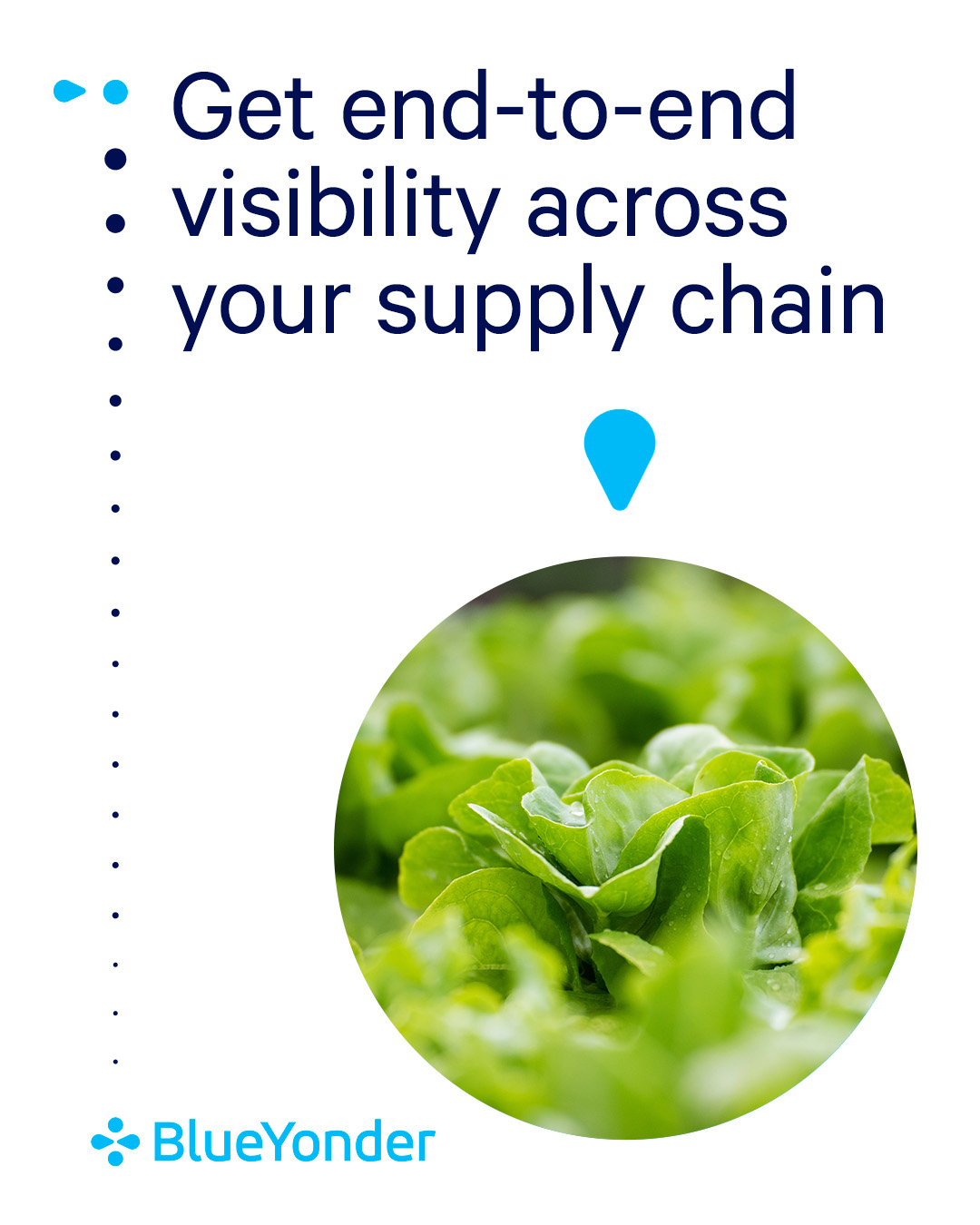 Blue Yonder Network Enhances Grocery Supply Chain Solutions