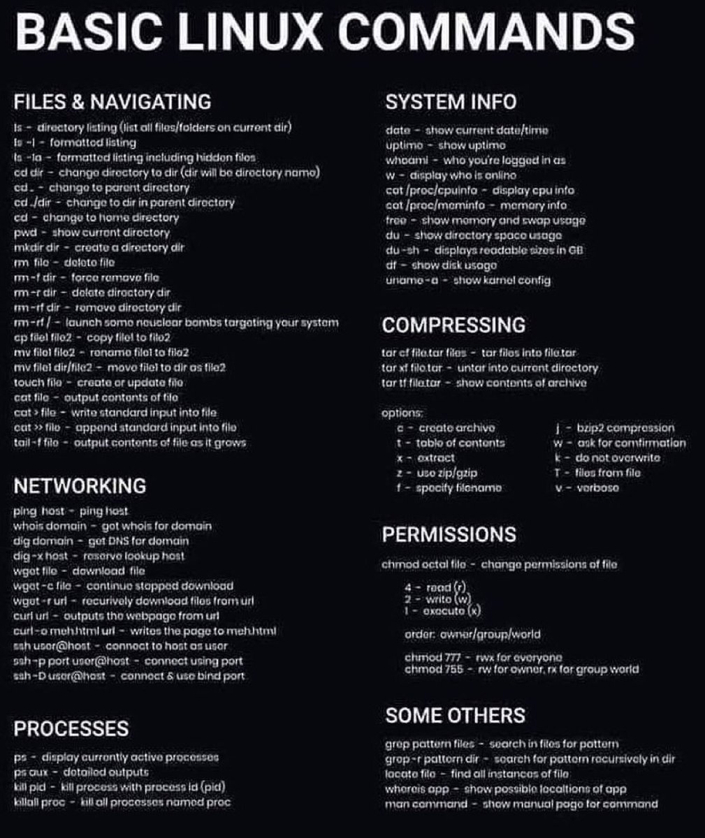 Essential Linux Commands for Beginners
