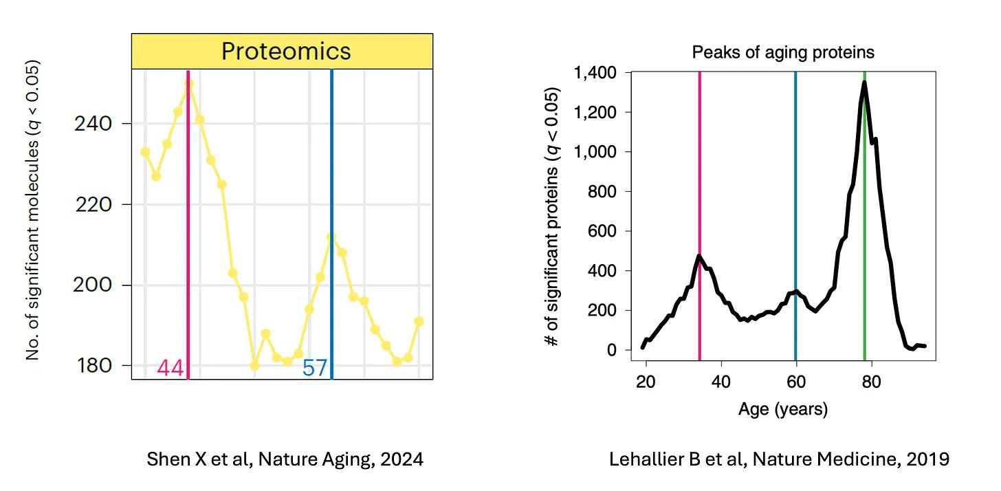 Proteomics reveals non-linear aging patterns through blood protein analysis