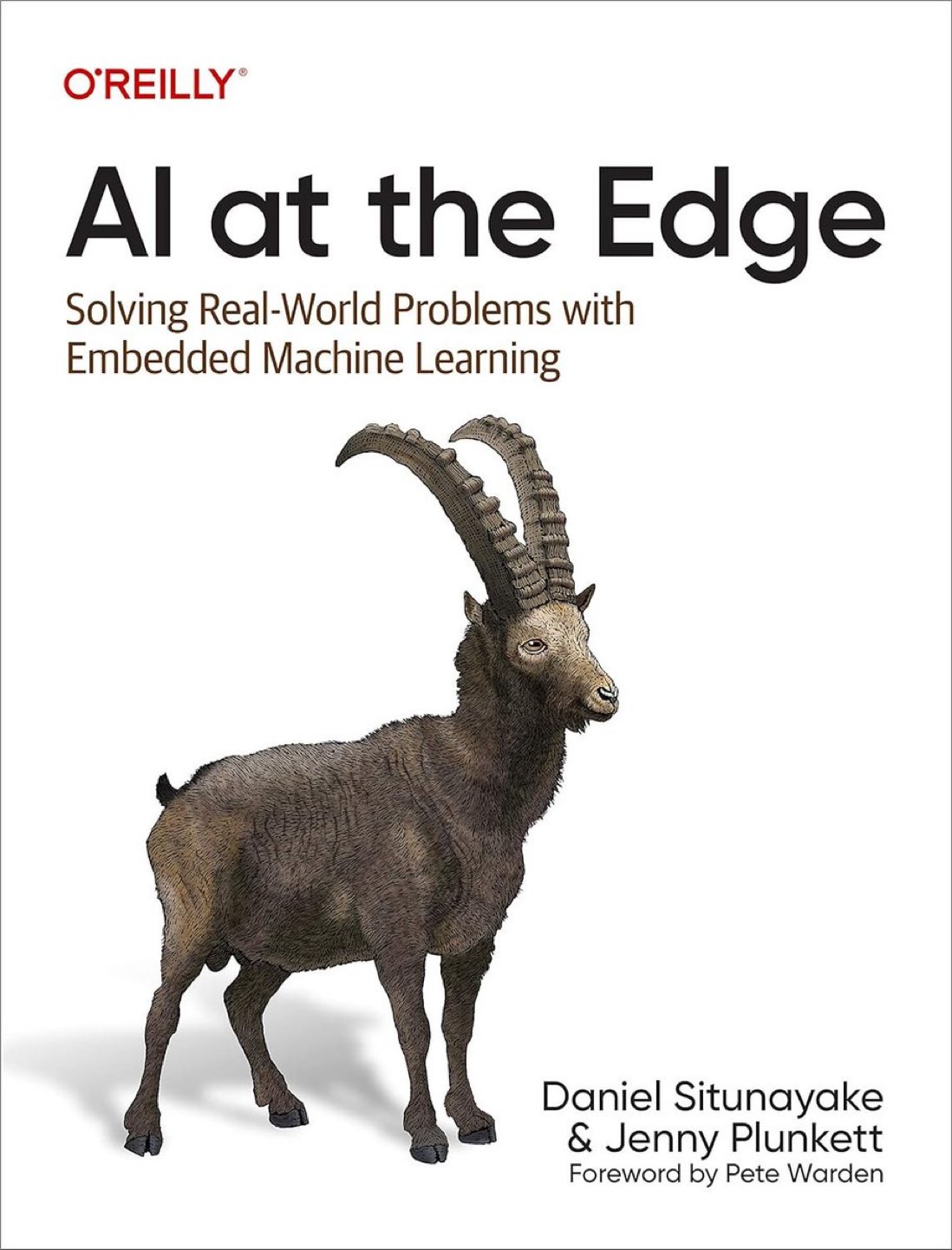 AI at the Edge: Embedded Machine Learning for Real-World Solutions