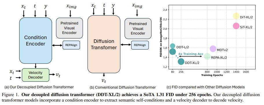 Decoupled Transformer Improves Diffusion Model Convergence