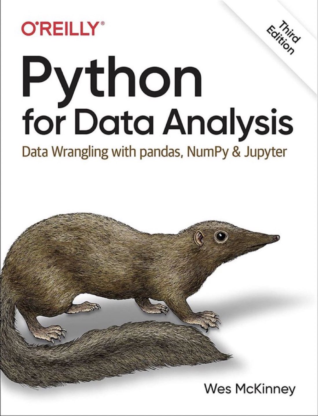 Python Data Manipulation Handbook: Third Edition with Practical Case Studies