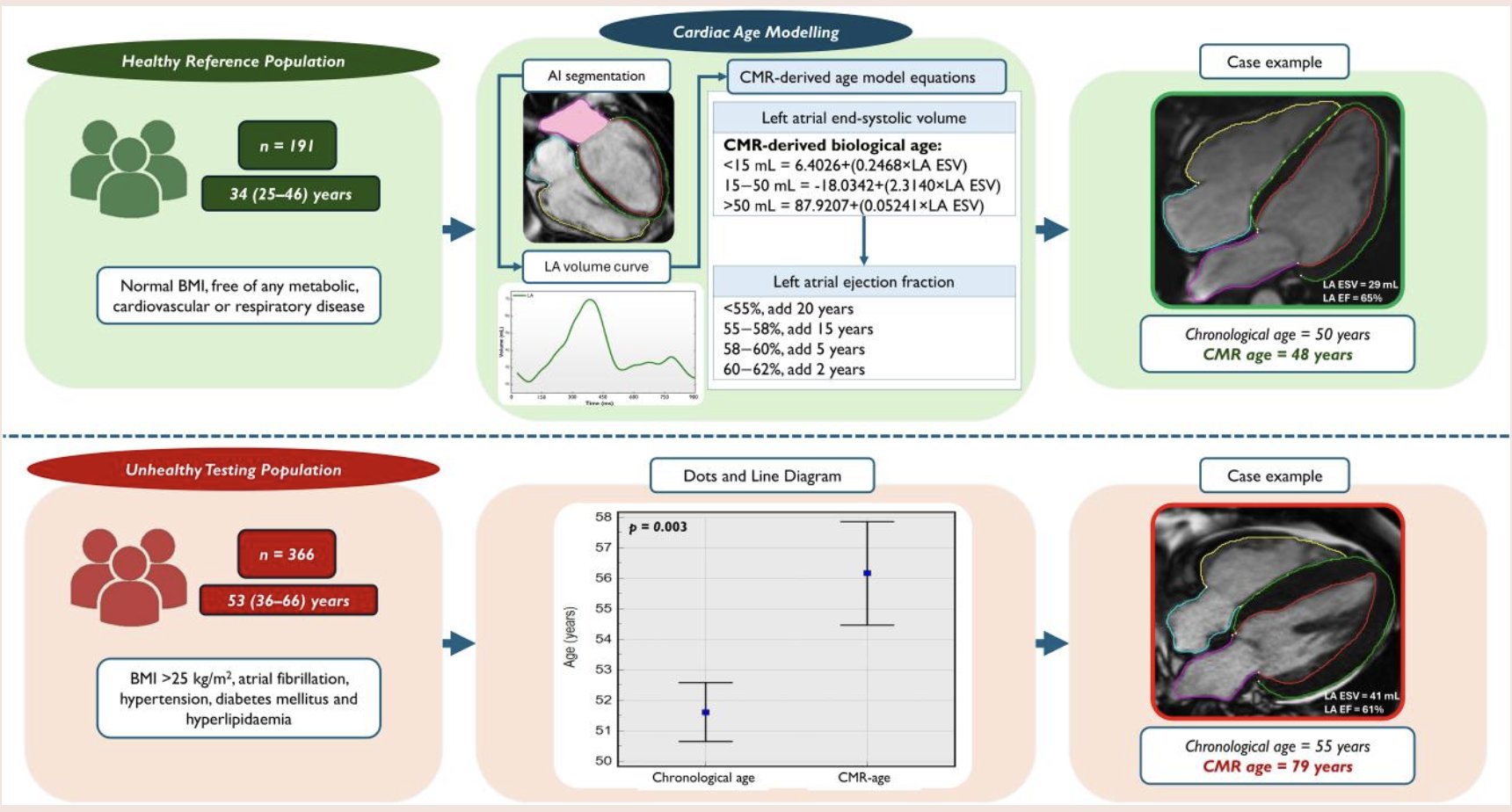 AI-Powered Heart Aging Clock Distinguishes Healthy from Unhealthy