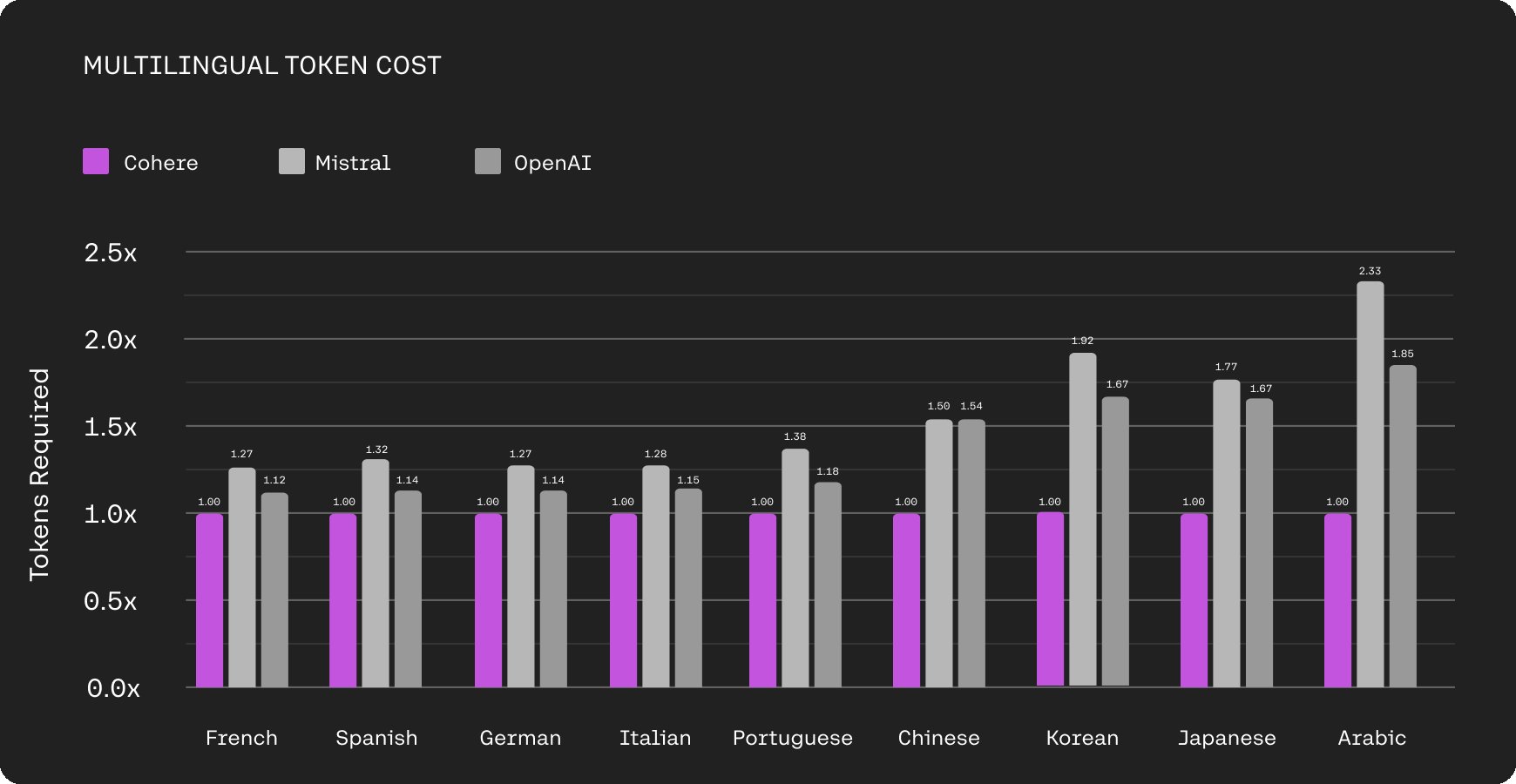 Tokenizer Efficiency and Language Bias in AI Models