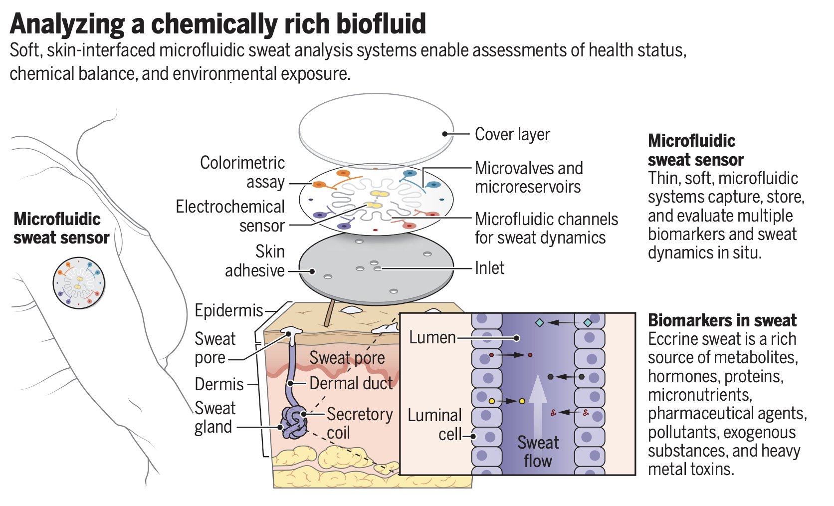 Microfluidic Skin Sensors Enable Sweat Biomedical Analysis
