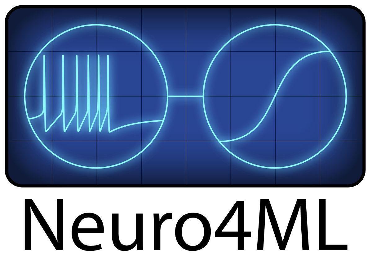 ML Professionals Learn Neuroscience Fundamentals