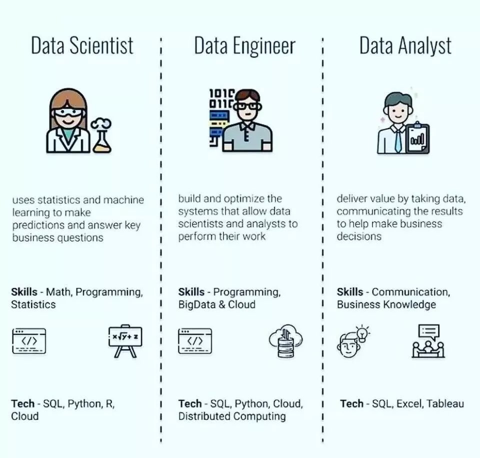 Data Science Roles: Engineer, Analyst, and Professional Pathways