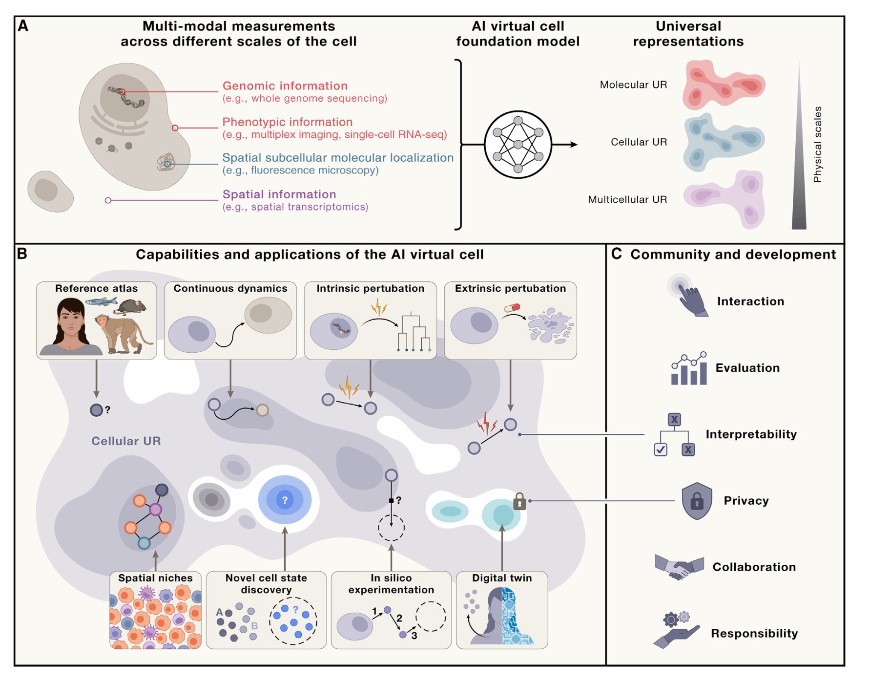 Towards AI Virtual Cell: Life Science Achievement