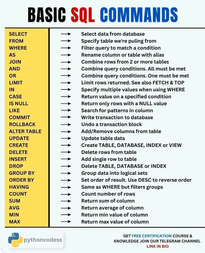 Master Basic SQL Commands for Data Science Analytics