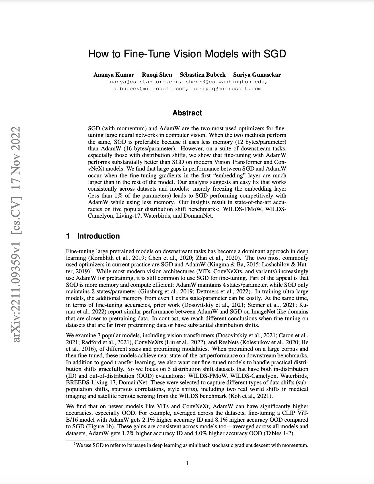 Fine-Tuning Vision Models with SGD Optimization