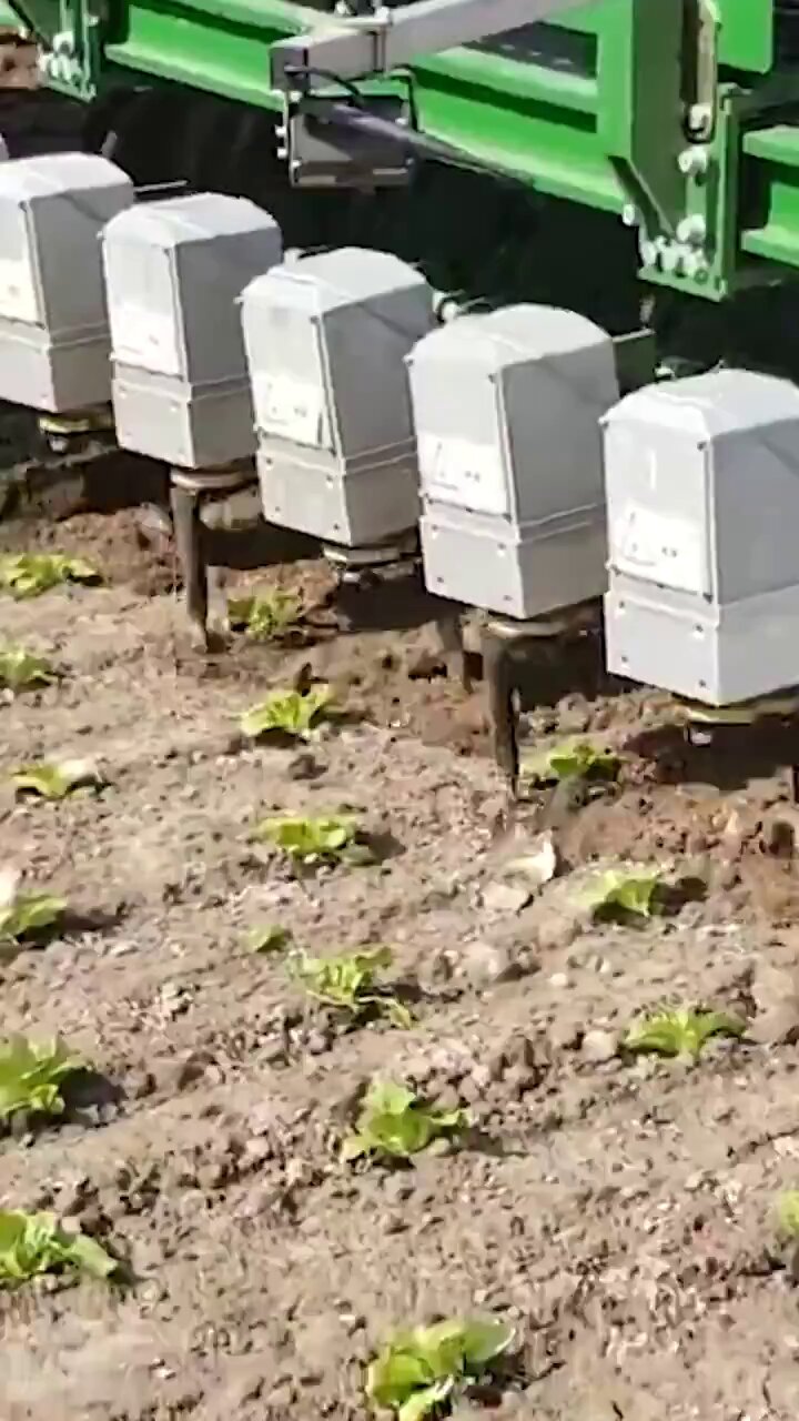 Agricultural Robots Transform Weed Management with AI Technology