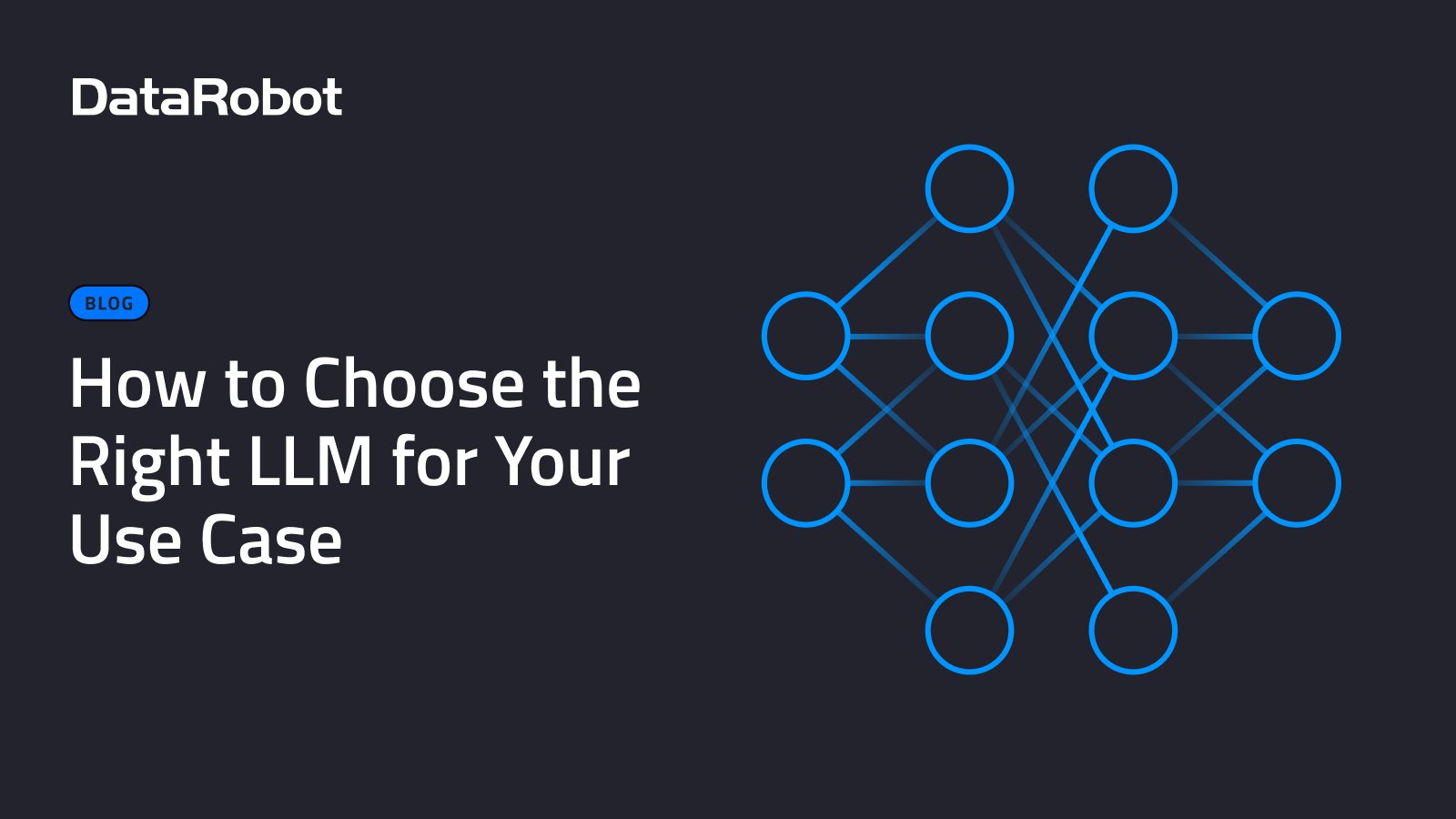 Choosing the Right LLM: Interoperability and Flexibility