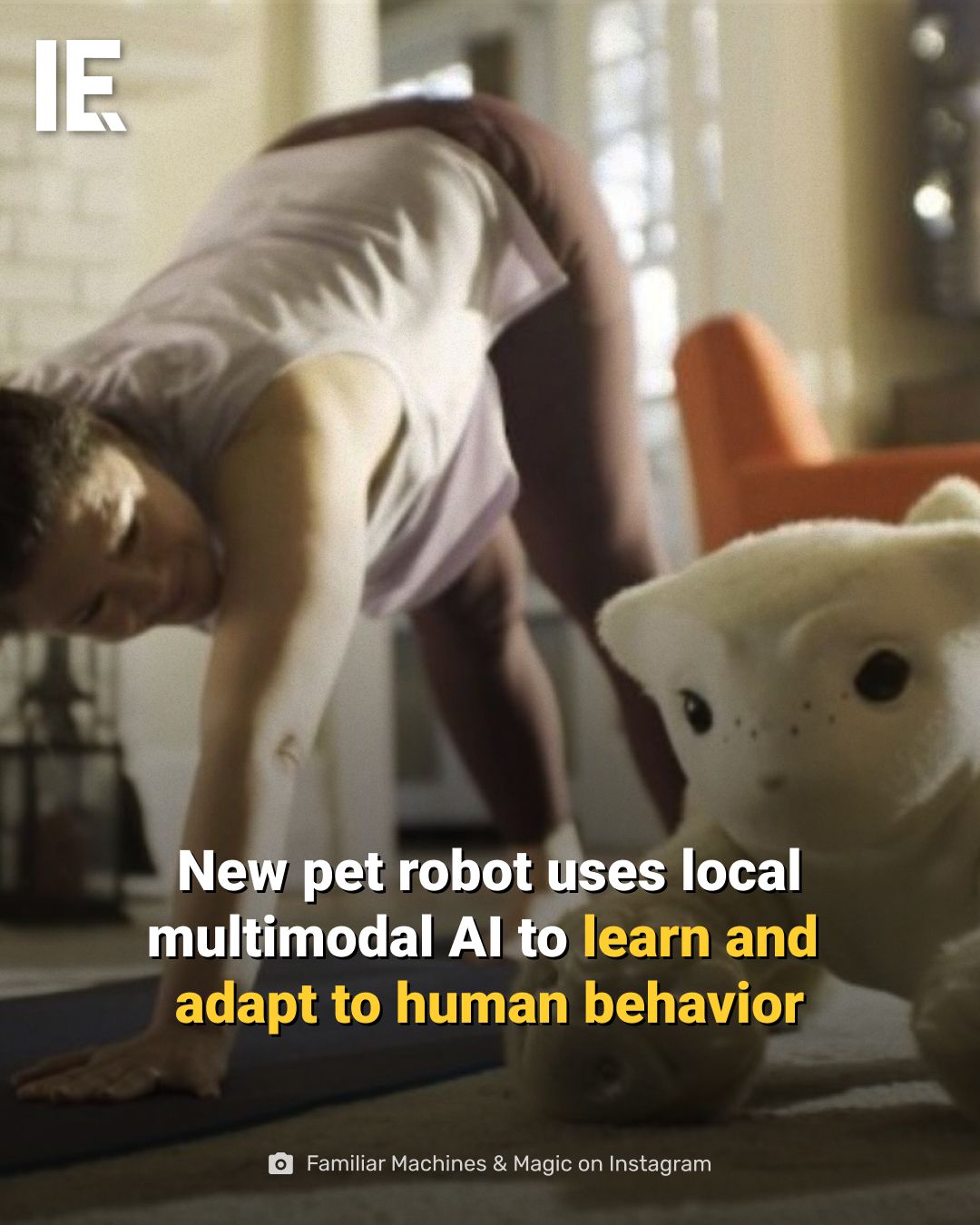 Companion robot with local multimodal AI learns and adapts to human behavior