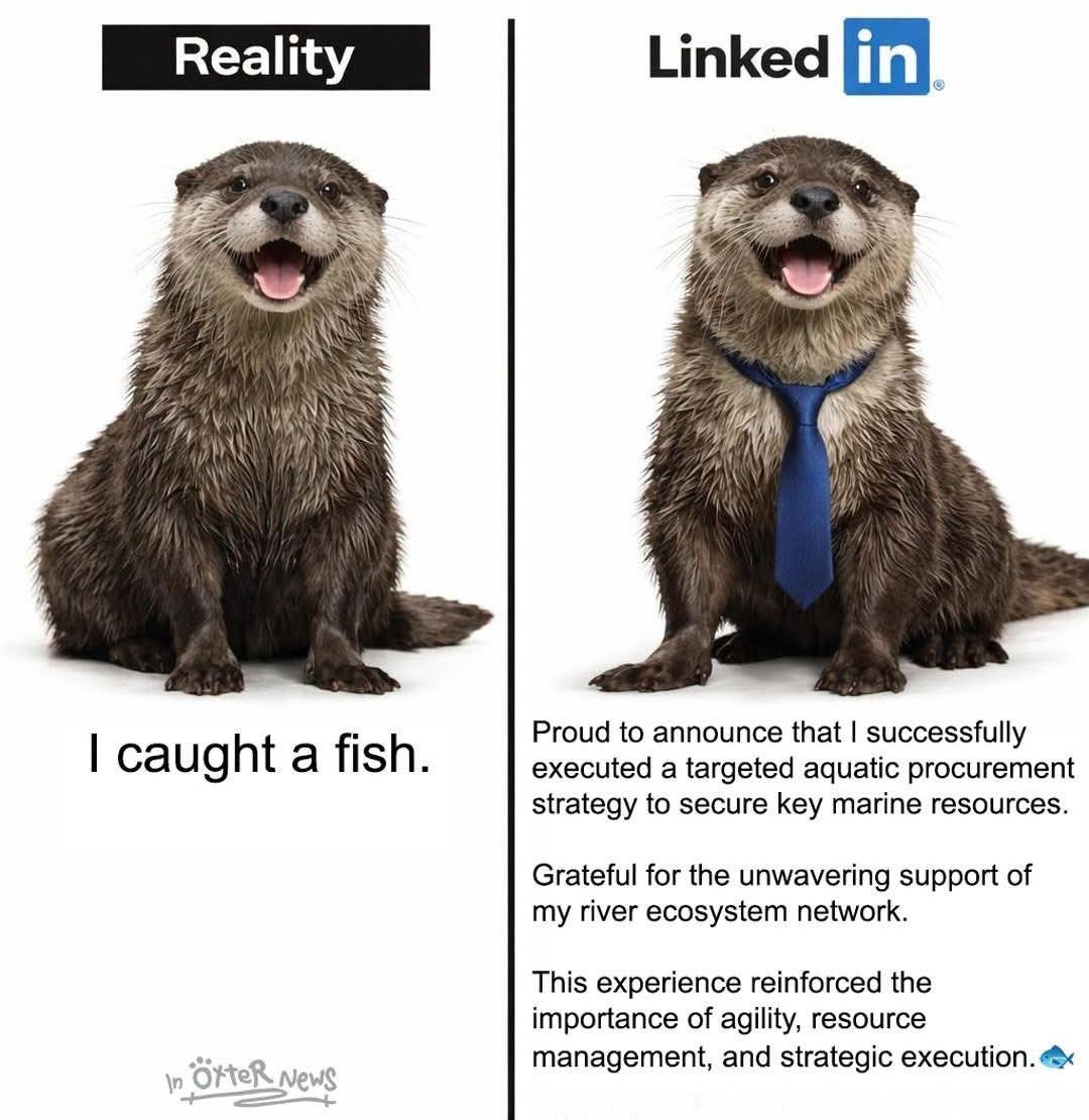 LinkedIn AI Problem: Peacocks, AI-Slop, and Author’s Assessment