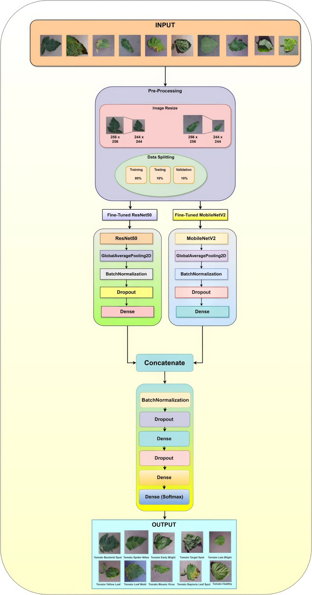 Ensemble DL Model for Accurate Tomato Leaf Disease Classification