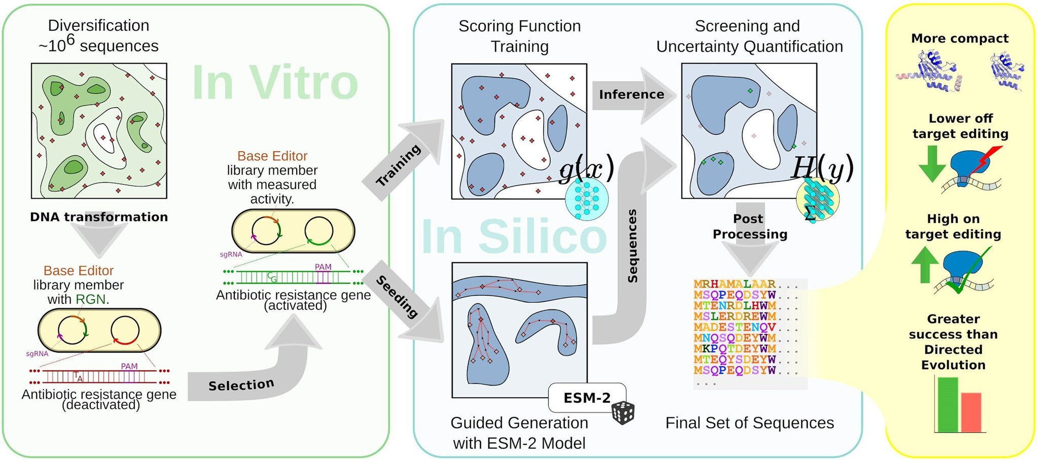 Machine Learning Optimizes Base Editors via Single-Round Diversification