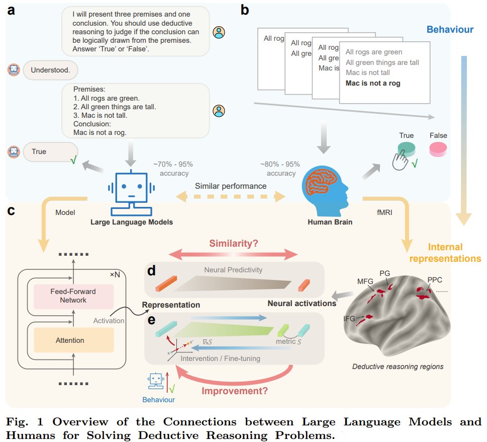 Language vs thought: neuroscience and LLM reasoning