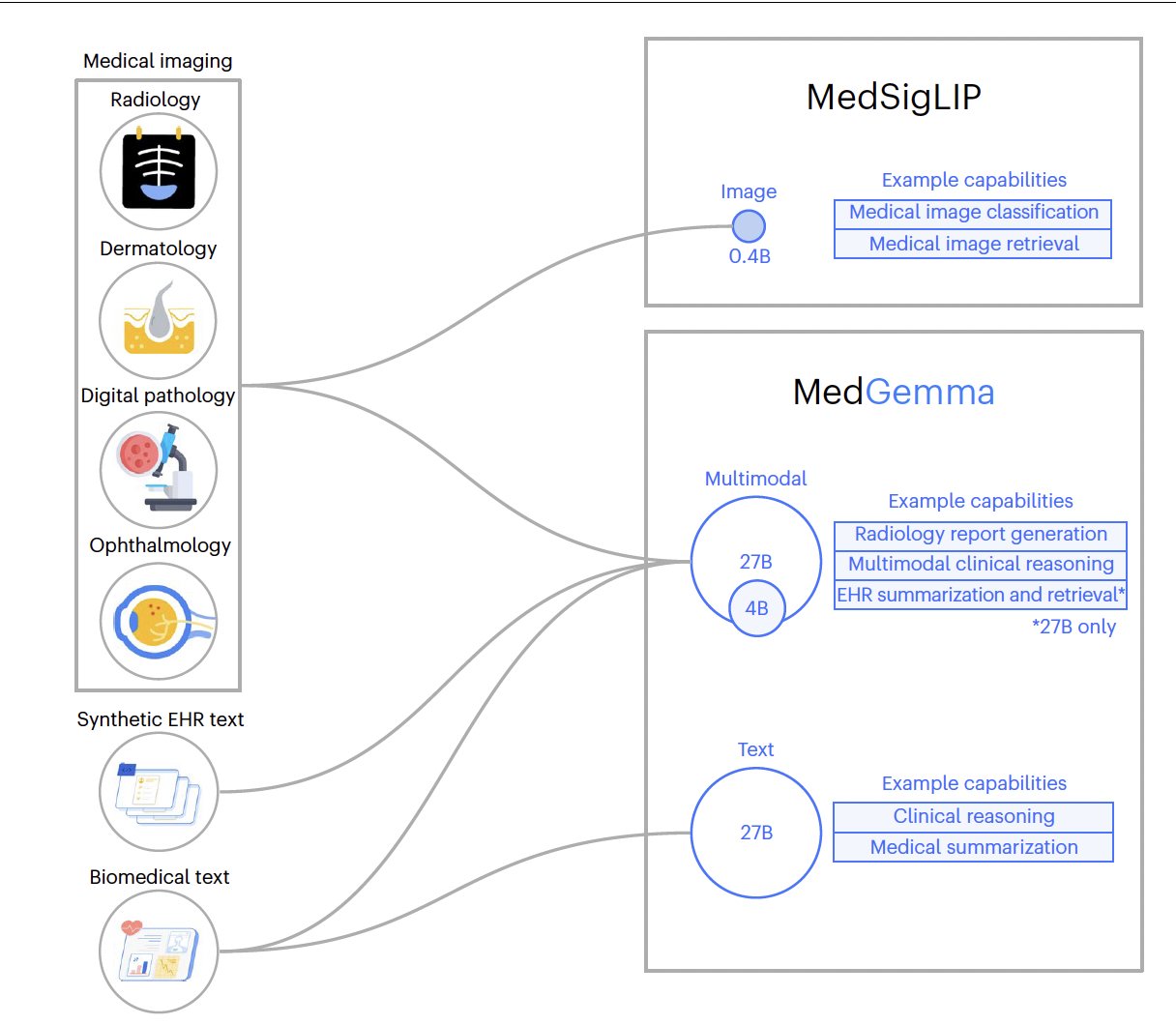 MedGemma open medical foundation model published in Nature Medicine