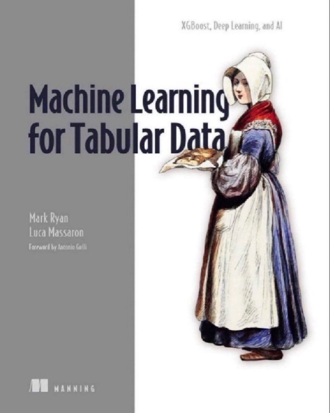 Book on Machine Learning for Tabular Data with XGBoost