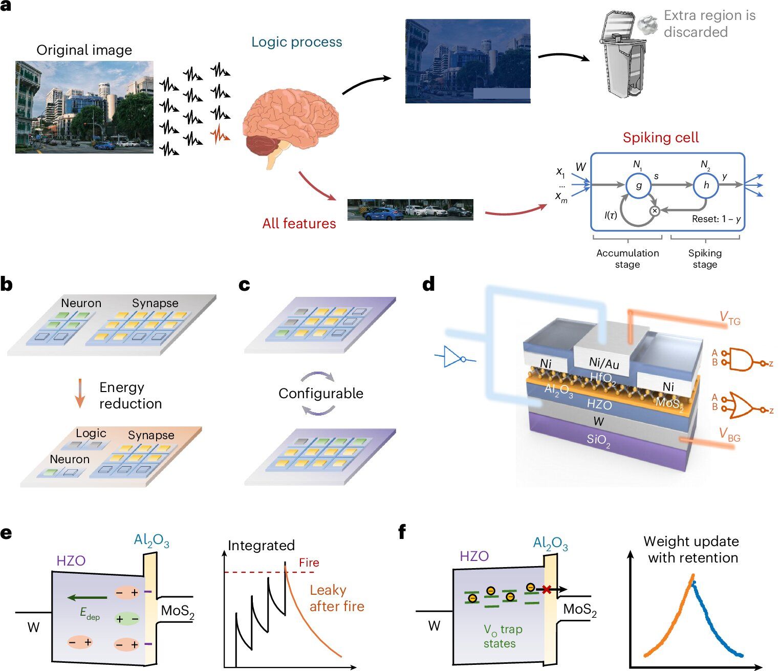 AI hardware design filters visual data to cut energy use