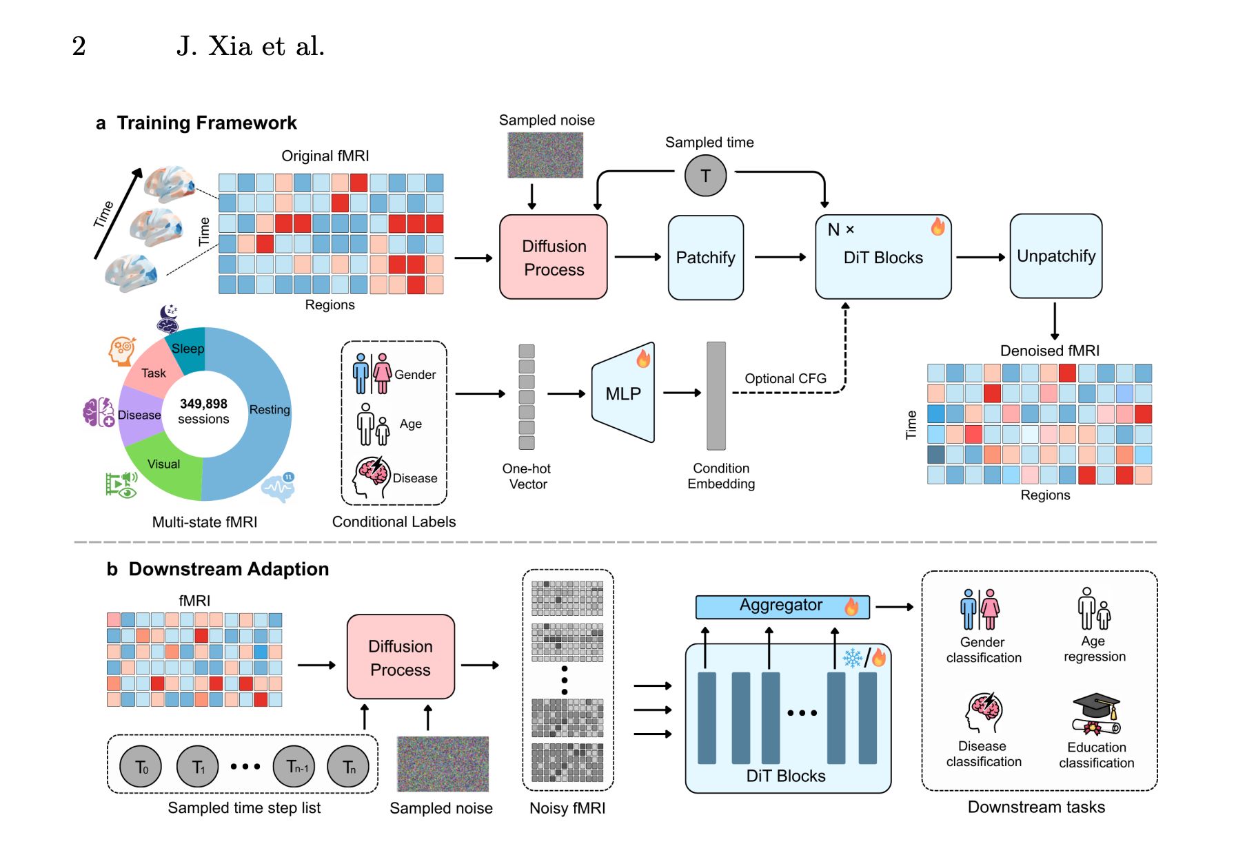 Brain-DiT: Universal Multi-State fMRI Foundation Model